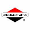 Briggs & Stratton